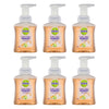 Dettol Foam Hand Wash Lime and Orange Blossom 250mL Pack of 6