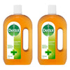 Dettol Antiseptic Antibacterial Disinfectant Liquid 750mL Pack of 2