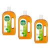 Dettol Antiseptic Antibacterial Disinfectant Liquid 750mL Pack of 3