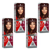 Schwarzkopf LIVE Colour Rich Burgundy Semi-Permanent Hair Colour 75mL Pack of 4
