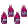 Hydralyte Apple Blackcurrant Flavoured Electrolyte Solution 1 L Pack of 4