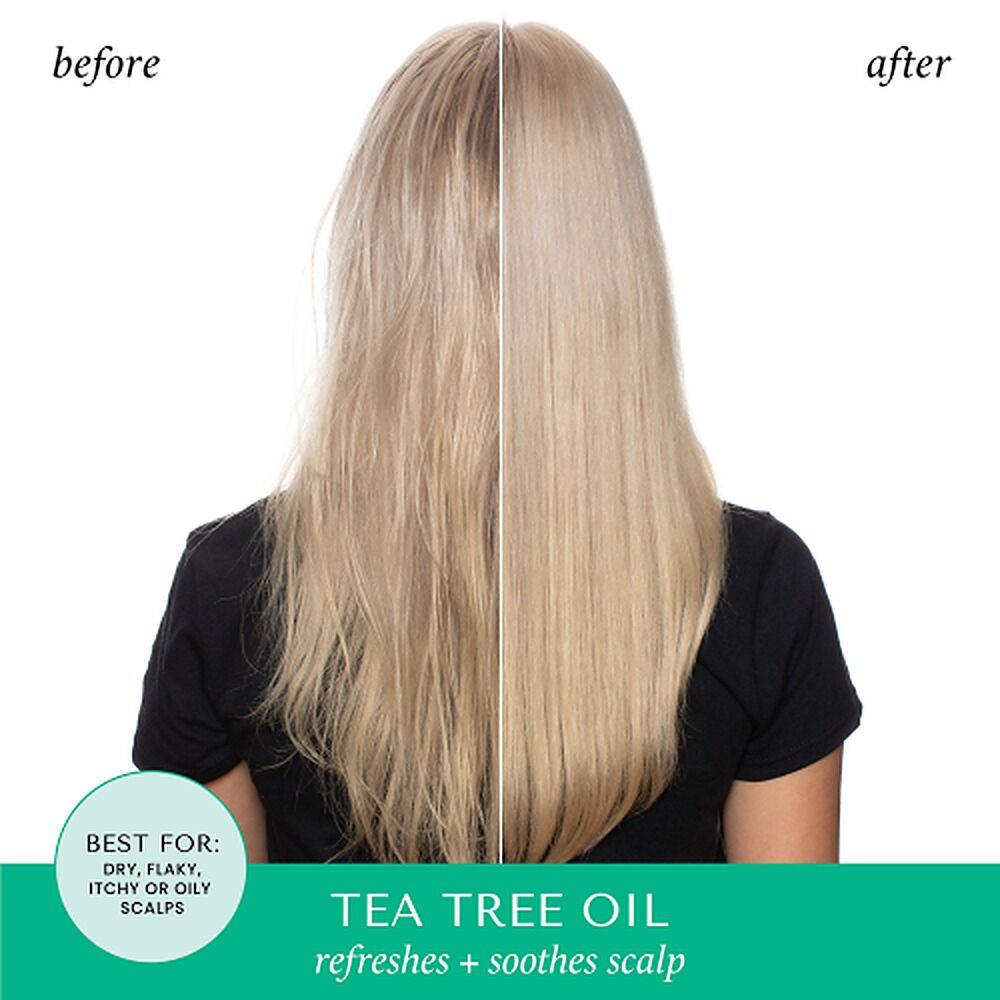 HASK Tea Tree Oil & Rosemary Hair & Scalp Treatment Mask 50g x 12