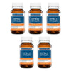 Ethical Nutrients Extra C Zingles Immune Health 50 Tablets Pack of 5