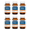 Ethical Nutrients Extra C Zingles Immune Health 50 Tablets Pack of 6