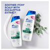 Head & Shoulders Itchy Scalp Care 2in1 Shampoo & Conditioner 350mL