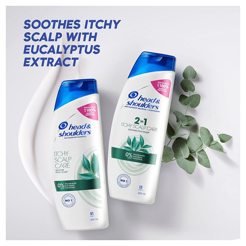 Head & Shoulders Itchy Scalp Care 2in1 Shampoo & Conditioner 350mL