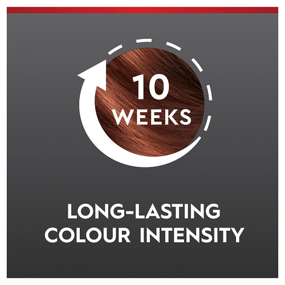 Schwarzkopf Brilliance 68 Chocolate Rush Permanent Hair Colour