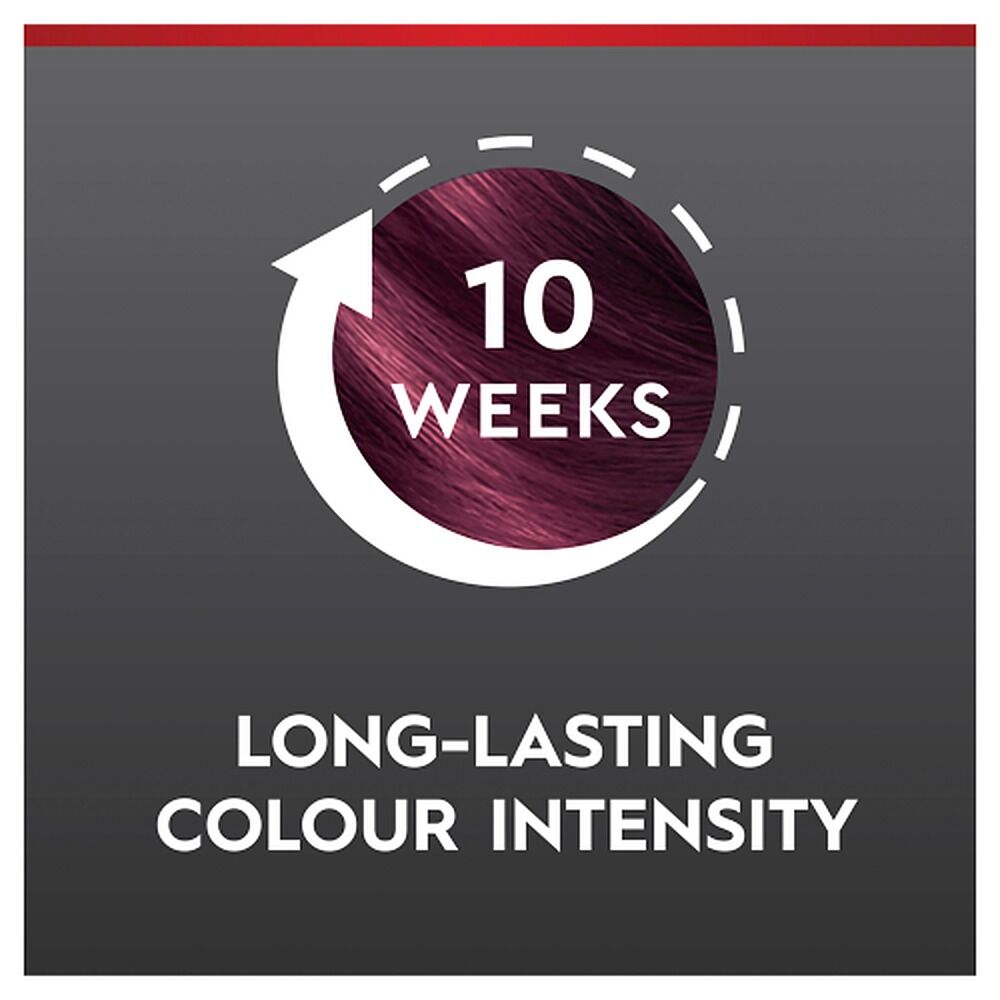 Schwarzkopf Brilliance Permanent Colour 23 Burgundy Chic