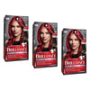 Schwarzkopf Brilliance Permanent Colour L43 Smouldering Red Pack of 3