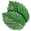 Extra Spearmint Sugar Free Chewing Gum 14 Pack x 24