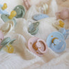Bibs Colour Pacifier Blush Size 1 2 Pack