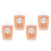 Femfresh Daily Wash 600mL x 3 Bundle of 4