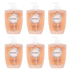 Femfresh Daily Wash 600mL x 3 Bundle of 6