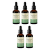 Wanderlust Echinacea Liquid Herbal Extract Drops 50mL Pack of 5