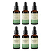 Wanderlust Echinacea Liquid Herbal Extract Drops 50mL Pack of 6