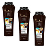 Schwarzkopf Extra Care Marrakesh Oil & Coconut Replenishing Shampoo Pack of 3
