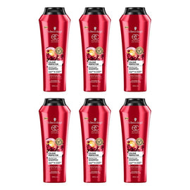 Schwarzkopf Extra Care Colour Perfector Protecting Shampoo 400mL Pack of 6