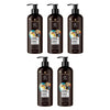 Schwarzkopf Extra Care Marrakesh Oil & Coconut Replenishing Shampoo Bundle of 5