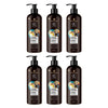 Schwarzkopf Extra Care Marrakesh Oil & Coconut Replenishing Shampoo Bundle of 6