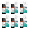 Bosisto's Australian Natives Bondi Oil 10mL Pack of 6