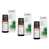 Bosisto's Australian Natives Daintree Oil 10mL Pack of 3