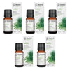 Bosisto's Australian Natives Daintree Oil 10mL Pack of 5