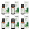 Bosisto's Australian Natives Daintree Oil 10mL Pack of 6