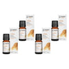 Bosisto's Australian Natives Kimberley Oil 10mL Pack of 4