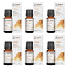 Bosisto's Australian Natives Kimberley Oil 10mL Pack of 6