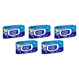 Sorbent Silky White Flushable Wipes 80 Pack x 12 Bundle of 5