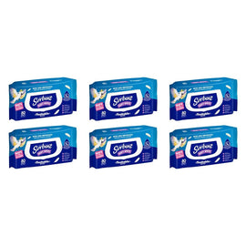 Sorbent Silky White Flushable Wipes 80 Pack x 12 Bundle of 6