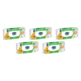Sorbent Kids Flushable Wipes 40 Pack Bundle of 5