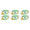 Sorbent Kids Flushable Wipes 40 Pack Bundle of 6