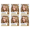 Clairol Nice 'N Easy Frost & Tip Highlighting Kit Pack of 6