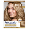 Clairol Nice 'N Easy Frost & Tip Highlighting Kit