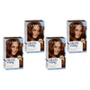 Clairol Nice 'N Easy 5RB Medium Chestnut Brown Permanent Hair Colour Pack of 4