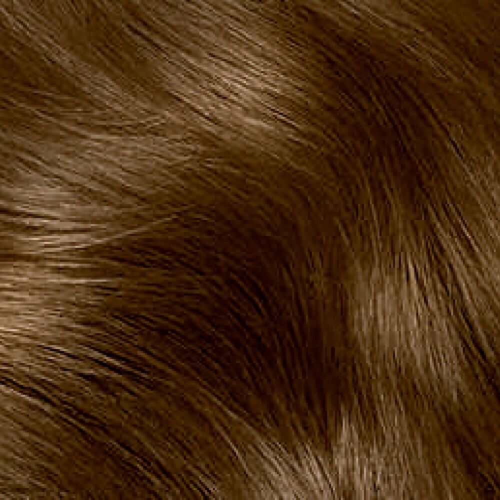 Clairol Nice 'N Easy 6 Light Brown Permanent Hair Colour