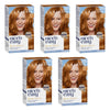 Clairol Nice 'N Easy 8WR Natural Gold Auburn Permanent Hair Colour Pack of 5
