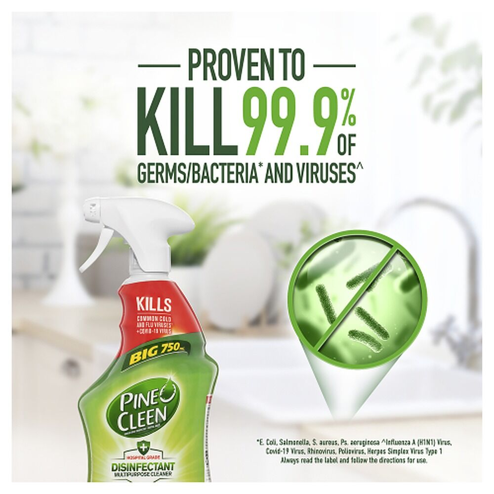 Pine O Cleen Disinfectant Spray Crisp Apple 750mL