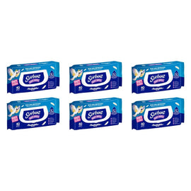 Sorbent Silky White Flushable Wipes 40 Pack Bundle of 6