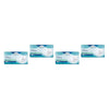 Tena Super ProSkin Comfort 20 Pack x 4 Bundle of 4