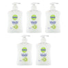 Dettol Antibacterial Liquid Hand Wash Pump Aloe Vera & Vitamin E 250mL Pack of 5