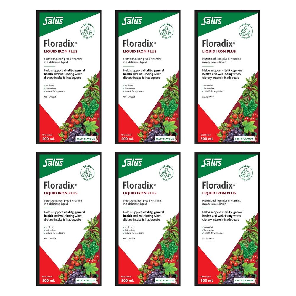 Floradix Liquid Iron Plus 500mL Pack of 6