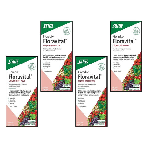 Floradix Floravital Liquid Iron Plus 250mL Pack of 4