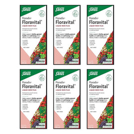 Floradix Floravital Liquid Iron Plus 250mL Pack of 6