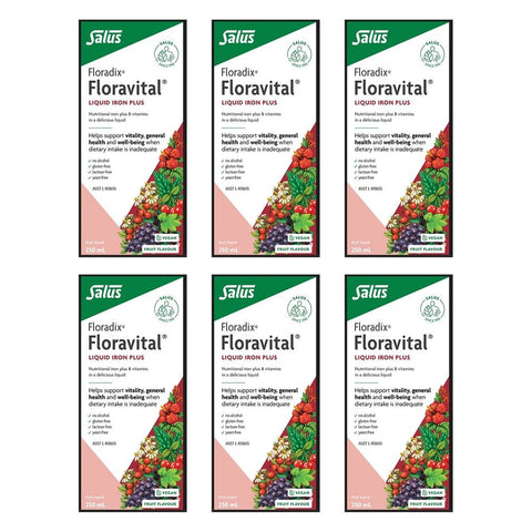 Floradix Floravital Liquid Iron Plus 250mL Pack of 6