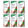 Floradix Floravital Liquid Iron Plus 500mL Pack of 6