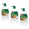 Palmolive Naturals Body Wash Passionfruit & Aloe 1L x 3 Bundle of 3