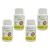 Seipel Group Ut Cleanse 28C Pack of 4