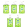 Dettol Antibacterial Liquid Hand Wash Refresh 250mL Pack of 5